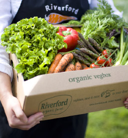veg box delivery from Riverford home delivery